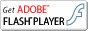 Flash player download